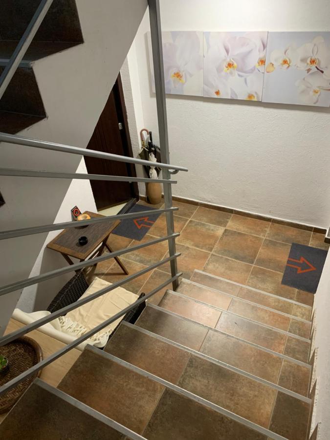 N6 Apartment Nowy Sad Zewnętrze zdjęcie